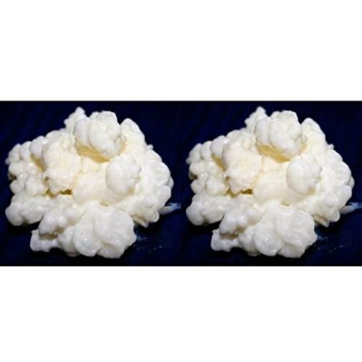 PROMOÇÃO - Pack 2x Kefir de Leite Frescos