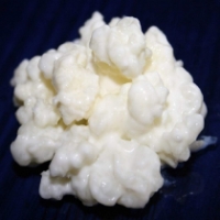 40g de Kefir de Leite - Fresco