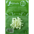 40g de Kefir de Leite - Fresco