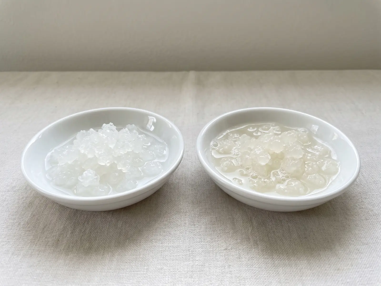 Cuencos de cer&acirc;mica branca com gr&atilde;os transl&uacute;cidos de kefir de &aacute;gua rec&eacute;m-hidratados e brilhantes.