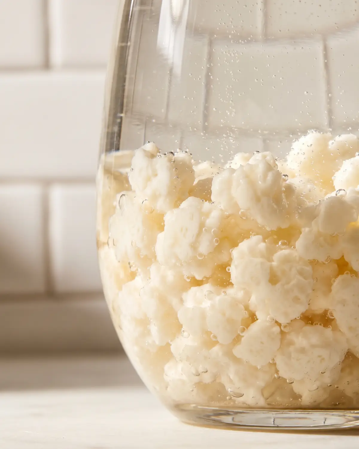kefir caucaso Burbujas finas sobem entre grãos de kefir de leite num frasco curvo, com azulejo branco ao fundo.