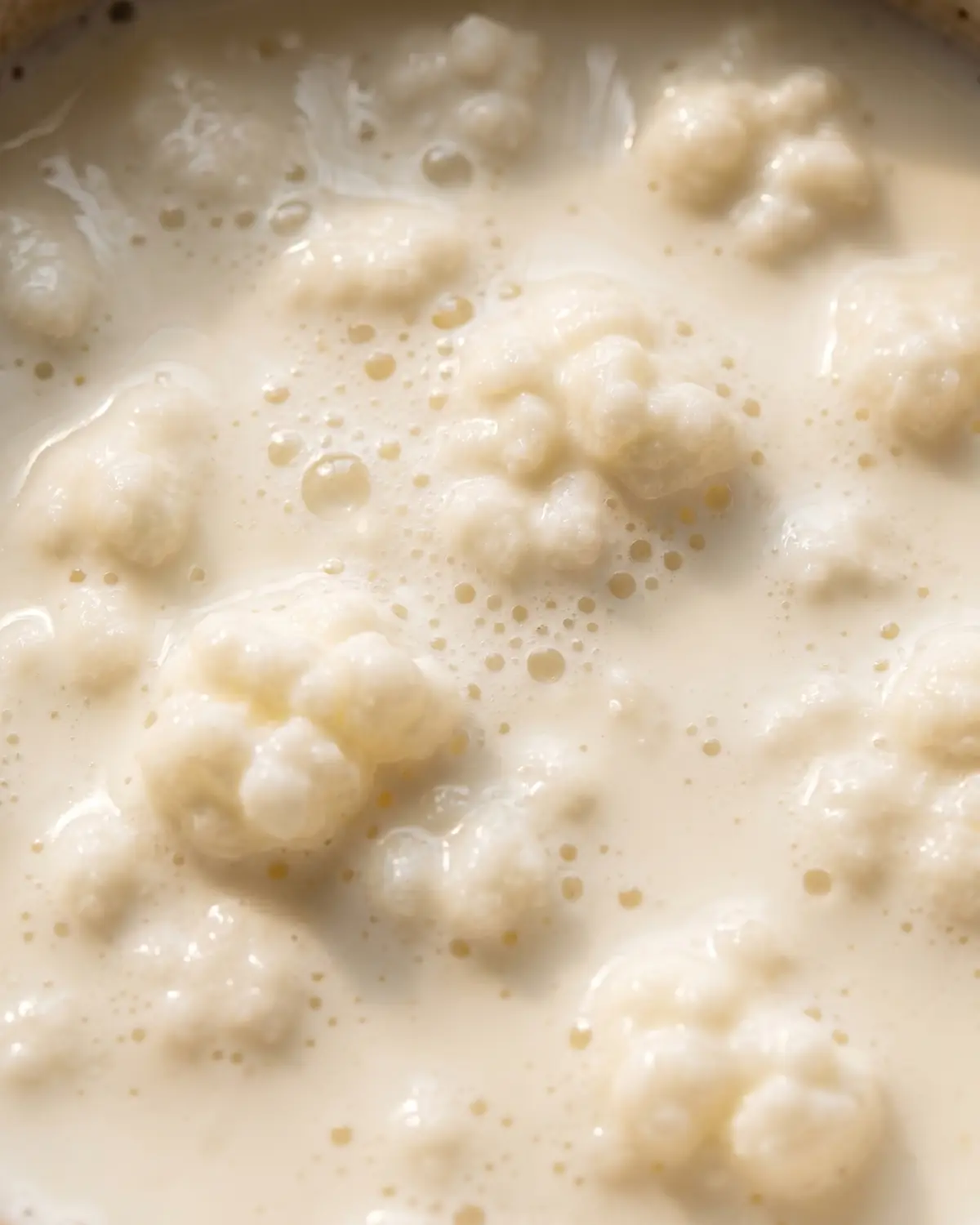 kefir vivos Superfície cremosa de kefir de leite em detalhe, com pequenas bolhas formadas durante a fermentação.
